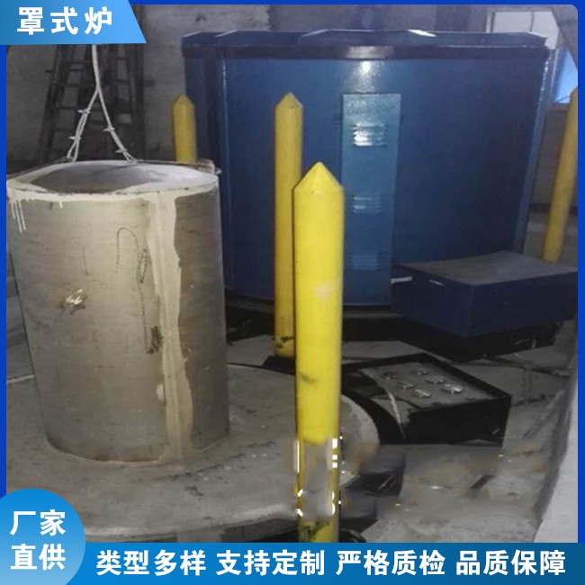 钎焊炉 网带炉 台车炉 井式炉 多款类型 厂家直供图6