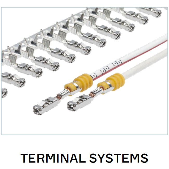 Terminal Systems图1
