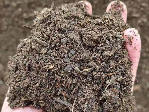 发酵纯羊粪 大量现货