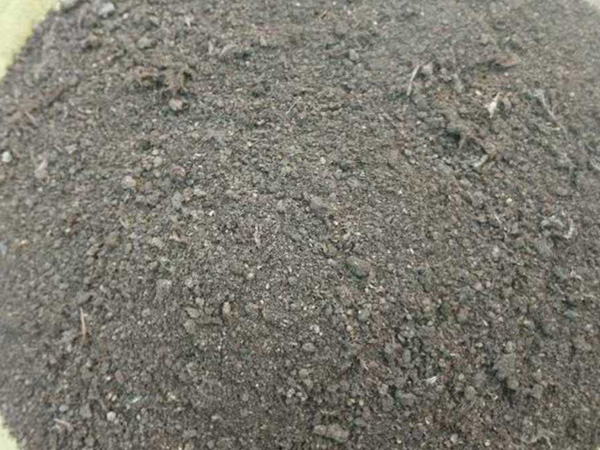 发酵鸡粪 现货供应