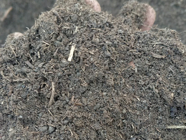 发酵牛粪 量大价优