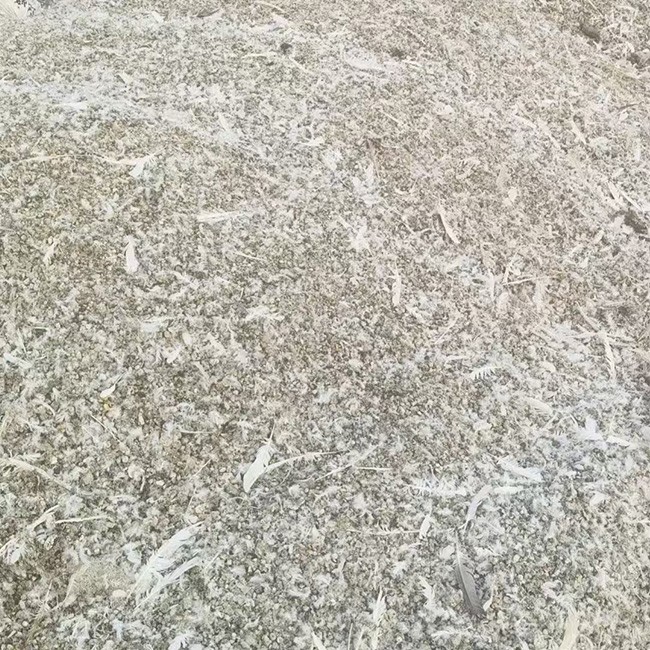 鸽子粪 厂家保质保量