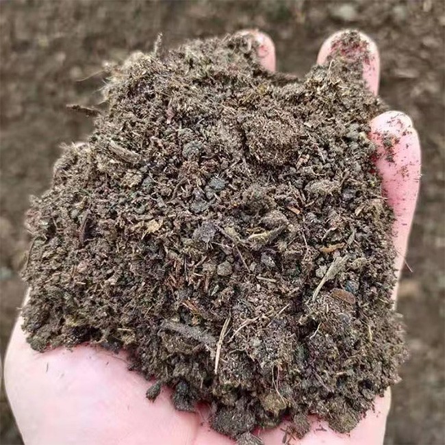 发酵羊粪 经验丰富 价格实惠