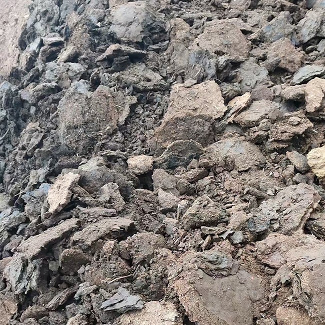 发酵羊粪 现货速发