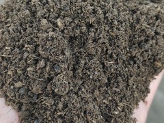 怎么发酵牛粪作肥料