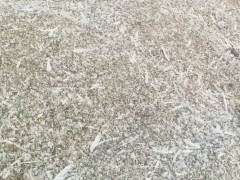 鸽粪如何处理之后，可以用来养花，要注意什么