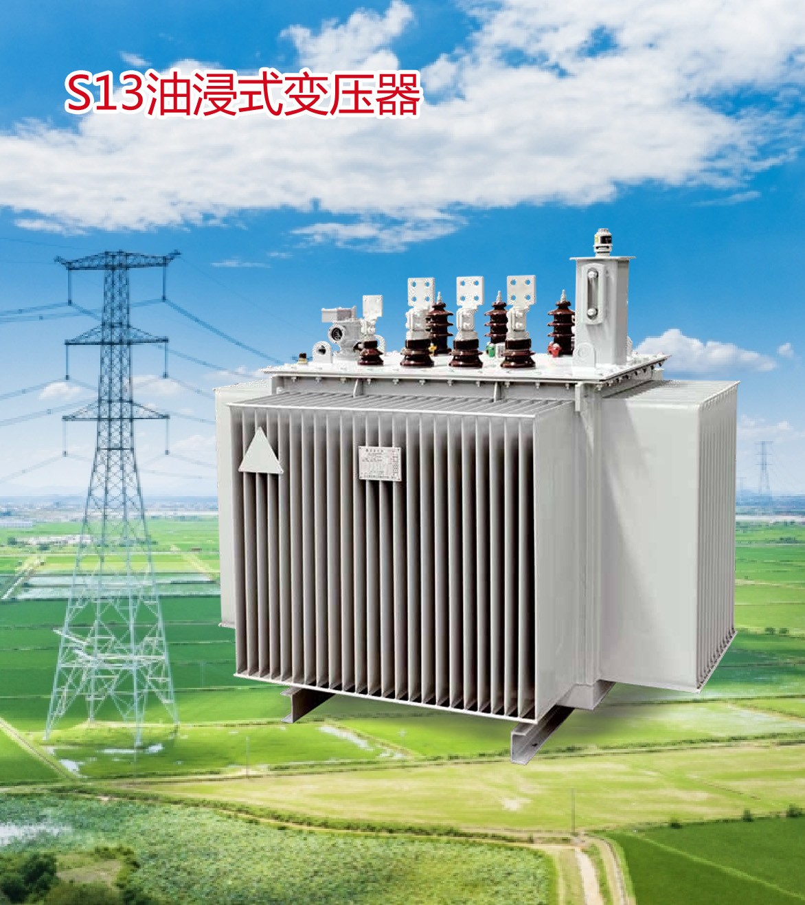 S13油浸式变压器图1