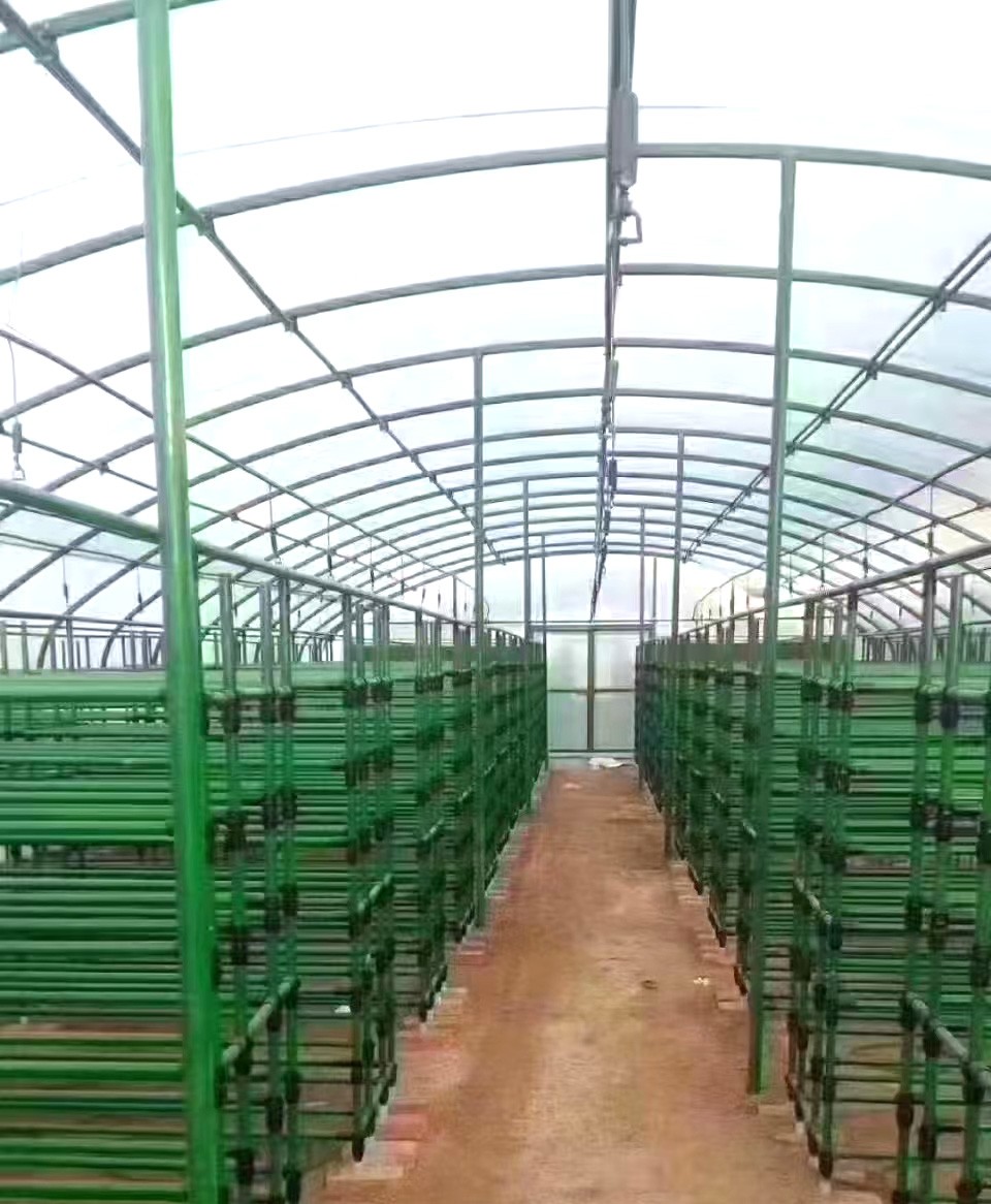 养殖大棚图1