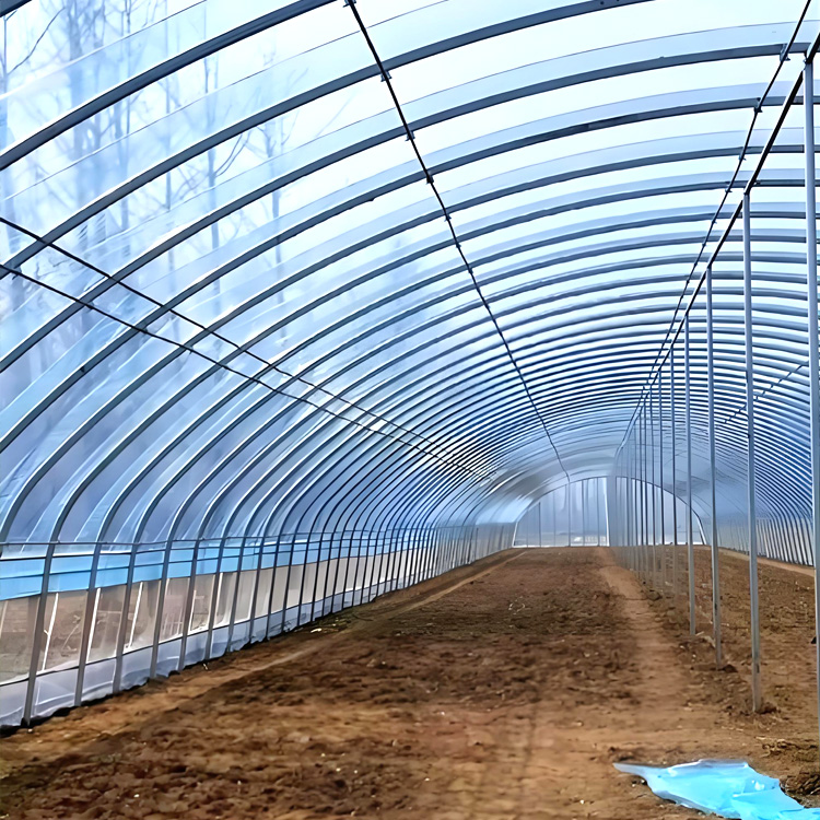 钢管大棚图1
