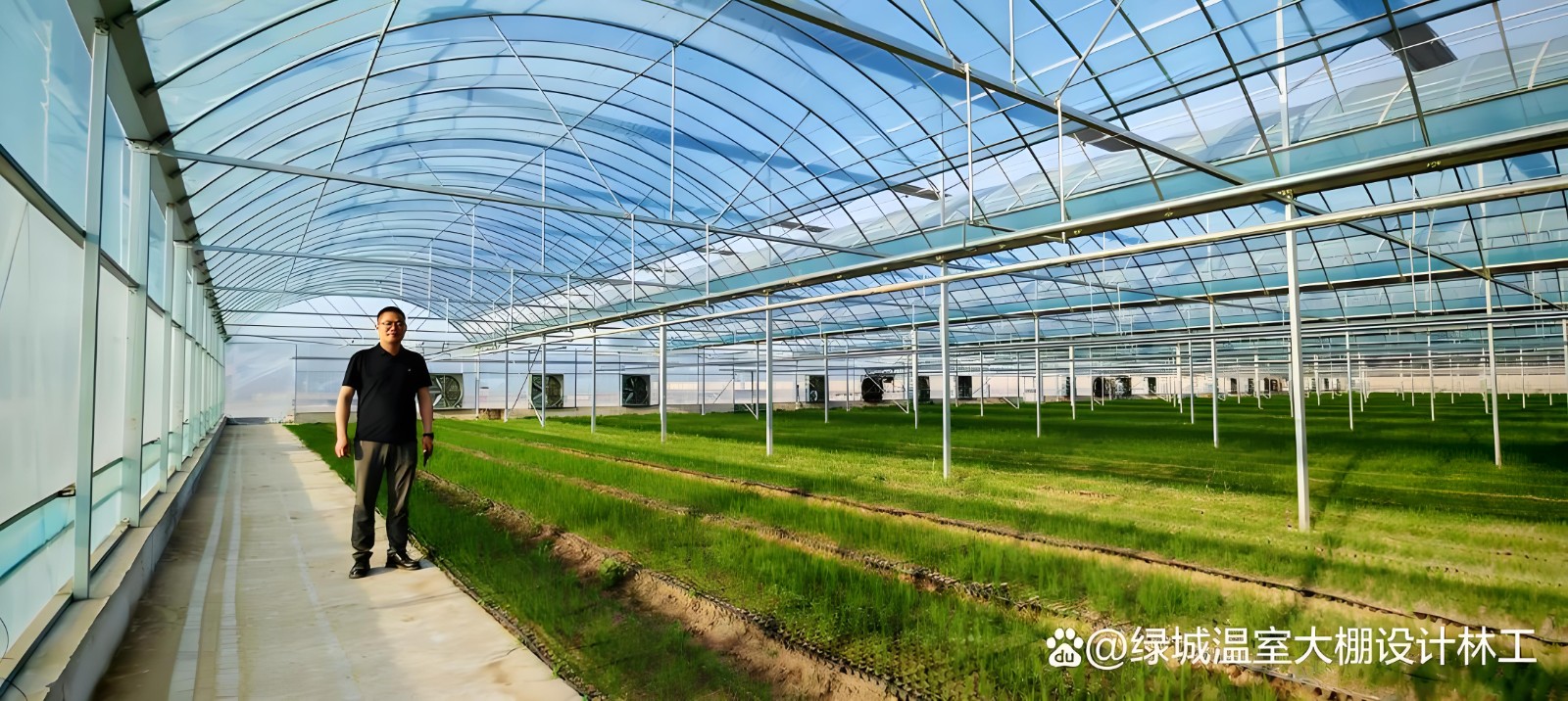 温室大棚图1