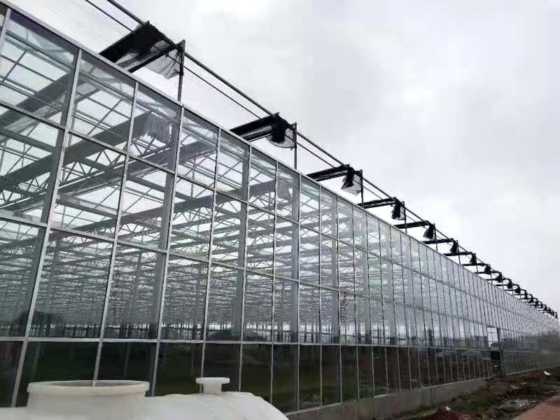 玻璃温室图1
