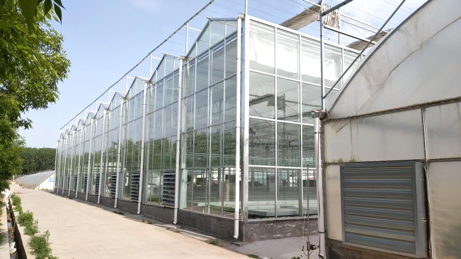 玻璃温室图1
