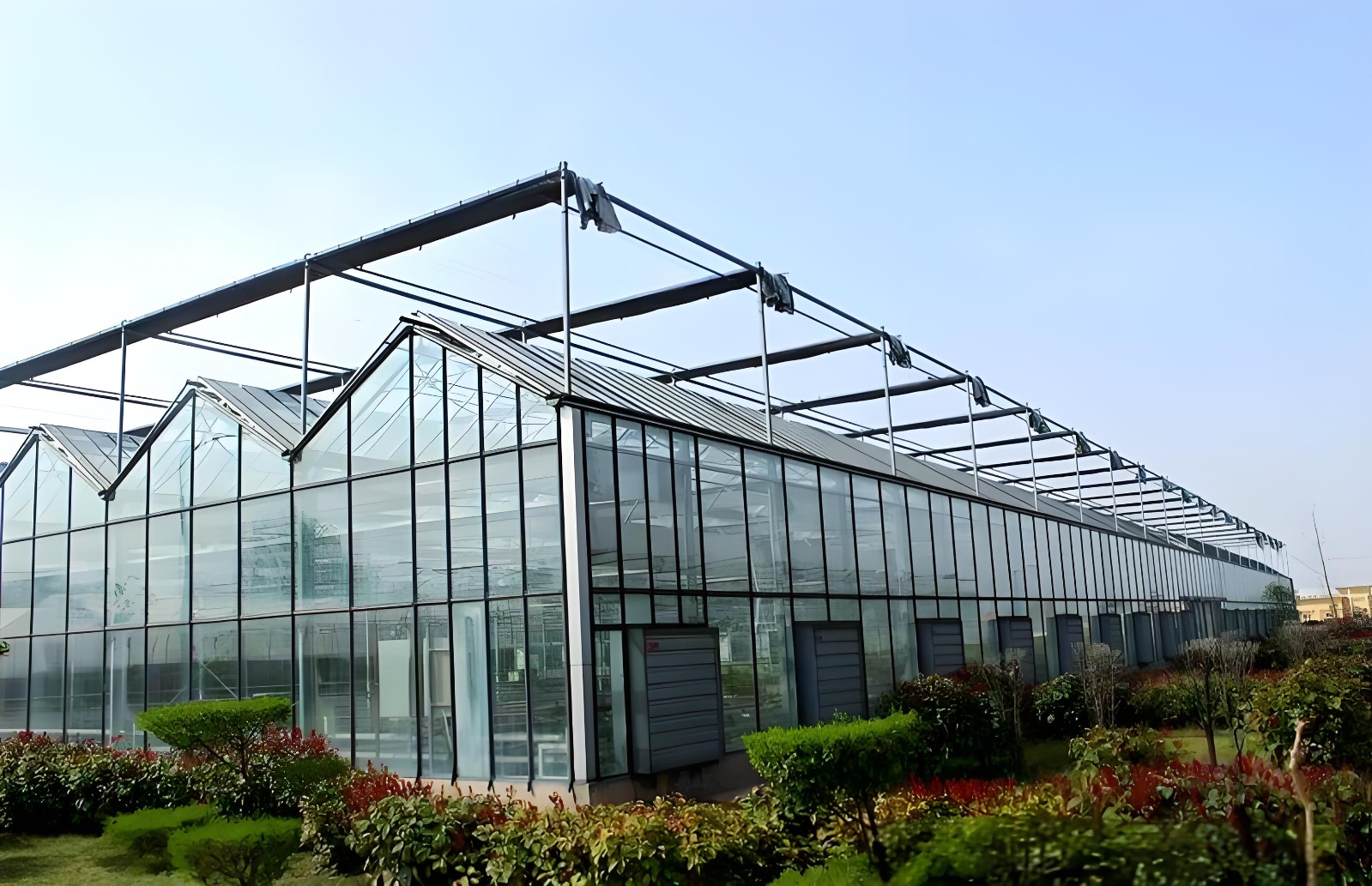 玻璃温室图1